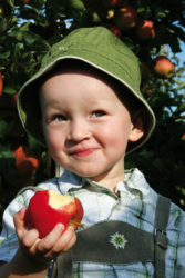 frieda-mit-apfel-vom-obsthof-bosse