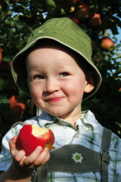 frieda-mit-apfel-vom-obsthof-bosse