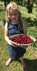 frieda-mit-kirschen-vom-obsthof-bosse