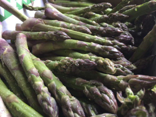 erntefrischer-gruener-spargel-vom-obsthof-bosse-01