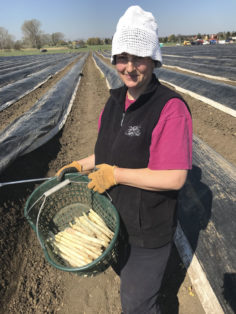 erntefrischer-weisser-spargel-vom-obsthof-bosse-02