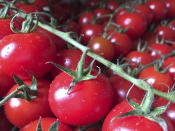geschmackvolle-tomaten-vom-obsthof-bosse-01