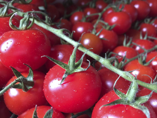 geschmackvolle-tomaten-vom-obsthof-bosse-01
