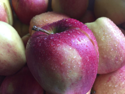 saftige-aepfel-vom-obsthof-bosse-01