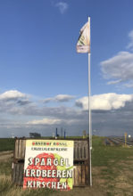 werbung-am-spargelfeld-obsthof-bosse-01